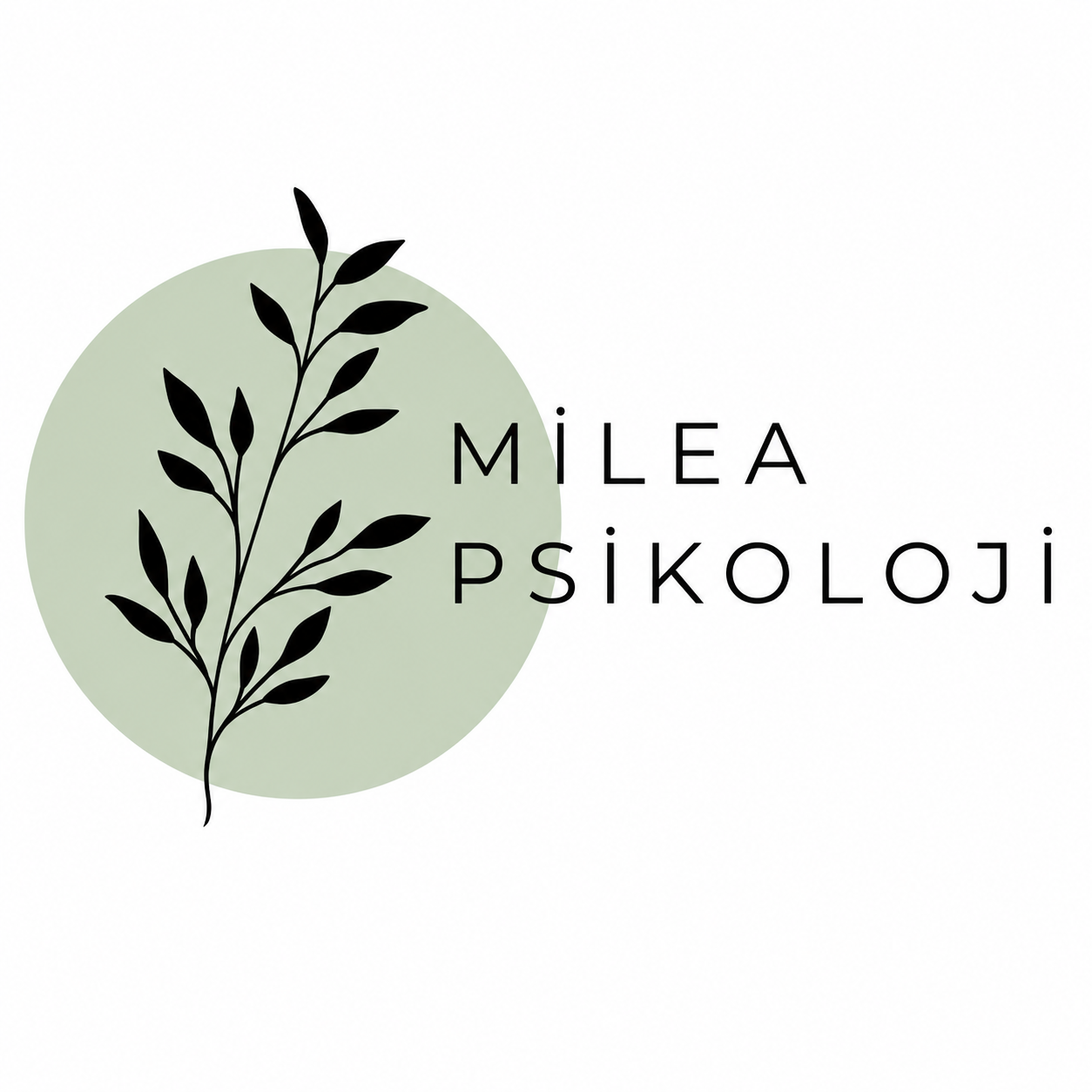 Sekiz ProClean Referansı